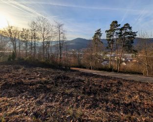 Aussicht ins Maintal