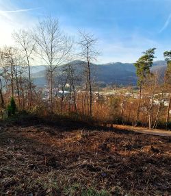 Provisionsfrei - Bauplatz kaufen in Freudenberg - Grundstücksfläche ca. 689 m²