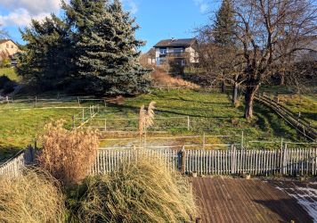 Blick über Terrasse und Außenbereich