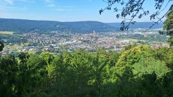 Blick von der Centgrafenkapelle auf Bürgstadt und Miltenberg