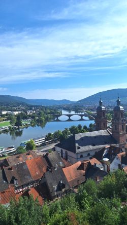 Blick von der Burg Miltenberg auf das Schwarzviertel, St. Jakobus und die alte Mainbrücke